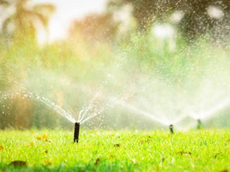 Das automatische Bewässerungssystem hilft Ihnen das Wasser zu sparen